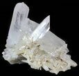 Himalayan Quartz Crystal Cluster #63038-1